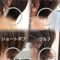 画像334